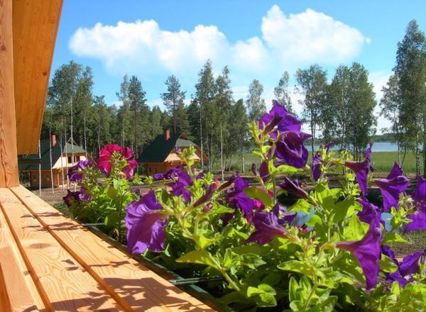 Holiday Complex Cirmas Ezerkrasts Ludza Chambre photo